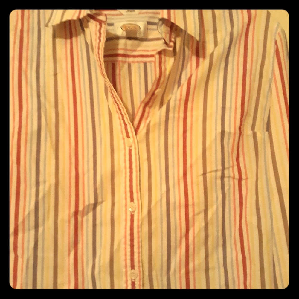 Button Down Shirt